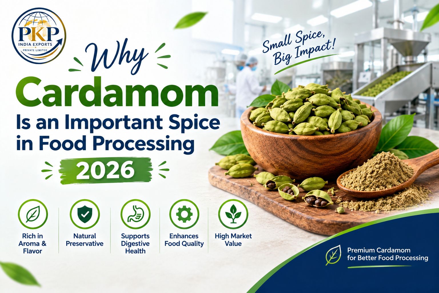 Why Cardamom Is an Important Spice in Food Processing 2026