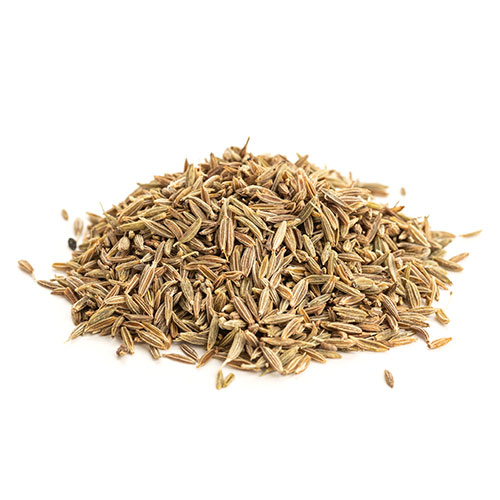 Cumin Seed in Hari Nagar