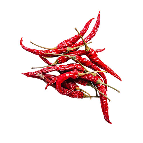 Red Chilli in Hari Nagar